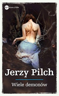 Wiele demonów - Jerzy Pilch - ebook + książka