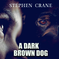 A Dark Brown Dog - Stephen Crane - audiobook
