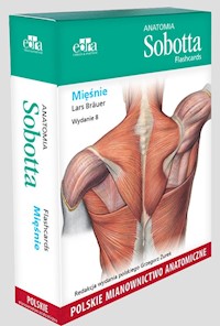 Anatomia Sobotta Flashcards. Mięśnie. Polskie mianownictwo anatomiczne - Bräuer L. - książka