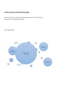 sichere Informationstechnologie - Tim Cappelmann - ebook