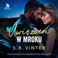 Uwięzieni w mroku - S.B. Vinter - ebook + audiobook