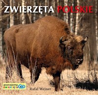 Poznajemy zwierzęta: Zwierzęta Polskie - Wejner Rafał - książka