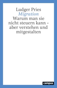 Migration - Ludger Pries - ebook