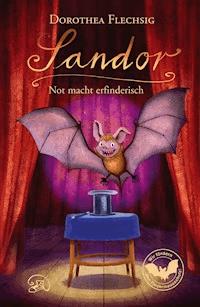 Sandor Not macht erfinderisch - Dorothea Flechsig - ebook