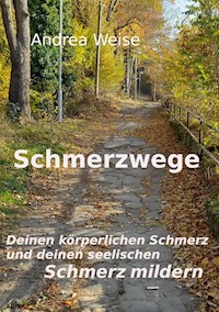 Schmerzwege - Andrea Weise - ebook