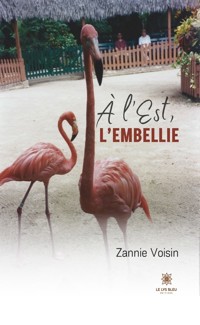 À l’Est, l’embellie - Zannie Voisin - ebook