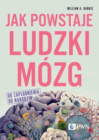 Jak powstaje ludzki mózg. Od zapłodnienia do narodzin - William A. Harris - książka