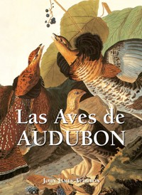 Las Aves de Audubon - John James Audubon - ebook