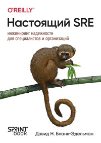 Настоящий SRE: инжиниринг надежности для специалистов и организаций - Дэвид Н. Бланк-Эдельман - ebook