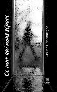 Ce mur qui nous sépare - Claude Portenseigne - ebook