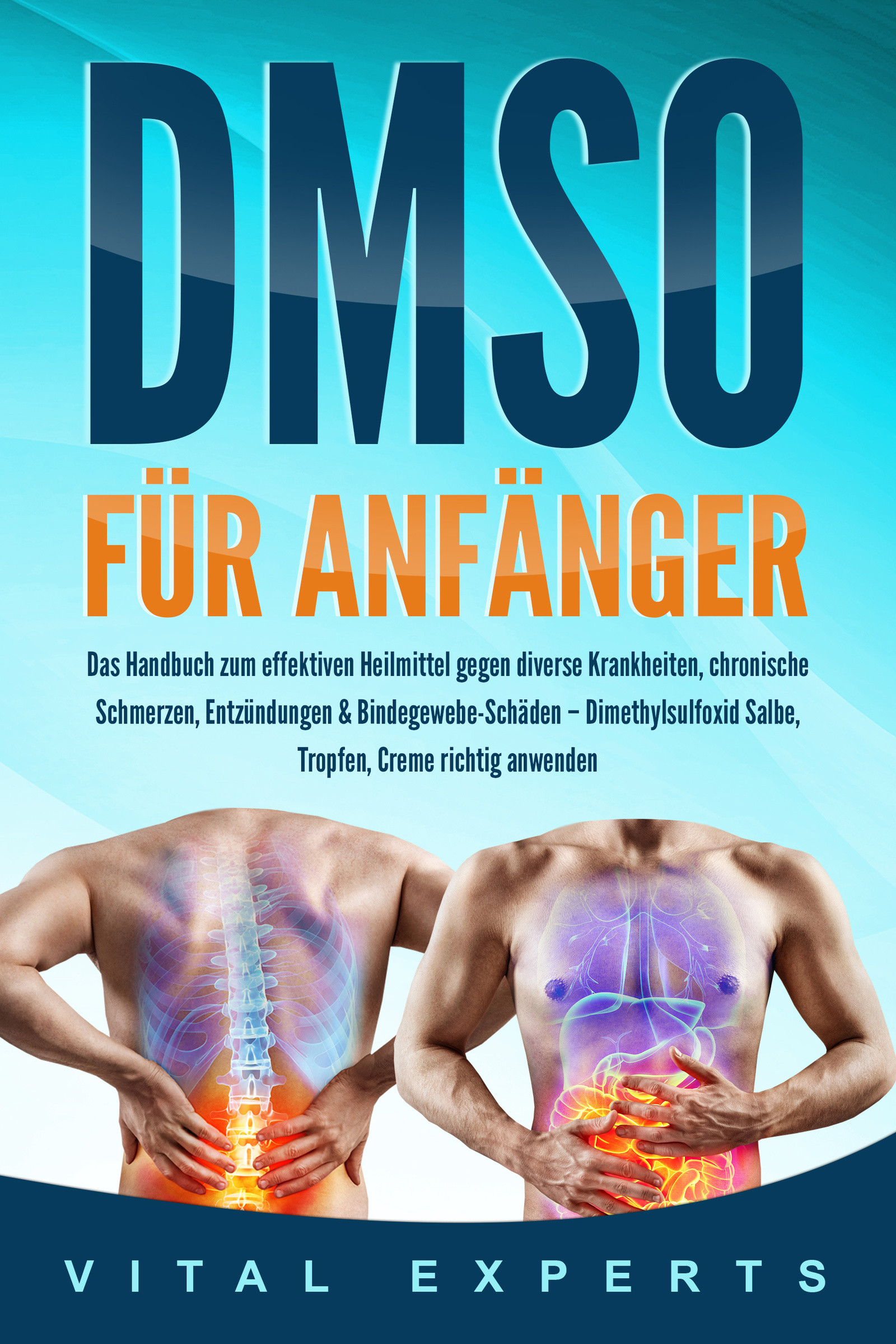 DMSO für Anfänger: Das Handbuch zum effektiven Heilmittel gegen diverse Krankheiten, chronische Schmerzen, Entzündungen & Bindegewebe-Schäden – Dim...