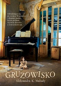 Gruzowisko - Maludy Aleksandra Katarzyna - książka