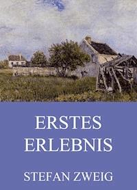 Erstes Erlebnis - Stefan Zweig - ebook