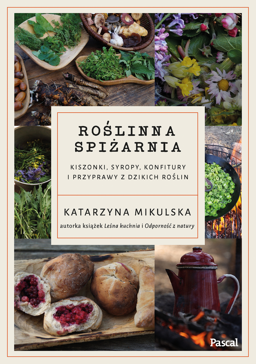 Roślinna spiżarnia. Kiszonki, syropy, konfitury i przyprawy z dzikich roślin - Katarzyna Mikulska - książka