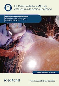 Soldadura MAG de estructuras de acero al carbono. FMEC0210 - Francisco José Entrena González - ebook
