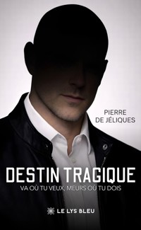 Destin tragique - Pierre de Jéliques - ebook