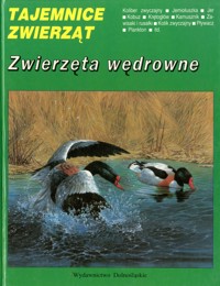 Tajemnice zwierząt. Zwierzęta wędrowne - Michel Cuisin - ebook