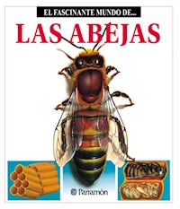 Las Abejas - Maria Àngels Julivert - ebook