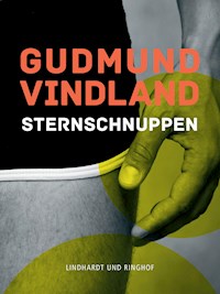 Sternschnuppen - Gudmund Vindland - ebook