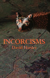 Incorcisms - David Hartley - ebook