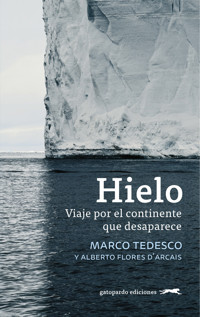Hielo - Marco Tedesco - ebook