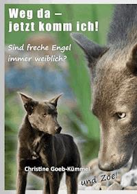 Weg da - jetzt komm ich! - Christine Goeb-Kümmel - ebook