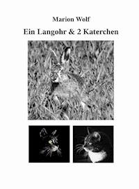 Ein Langohr & 2 Katerchen - Marion Wolf - ebook