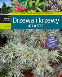 Drzewa i krzewy iglaste - Kurowski Lucjan - książka