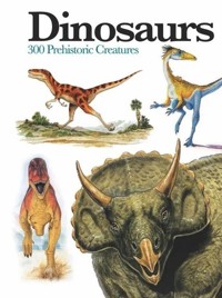 Dinosaurs: Mini Encyclopedia - McCall Gerrie - książka