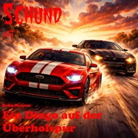 Ein Dingo auf der Überholspur - Bobo Malone - ebook