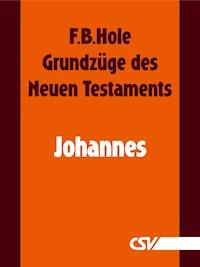 Grundzüge des Neuen Testaments - Johannes - F. B. Hole - ebook