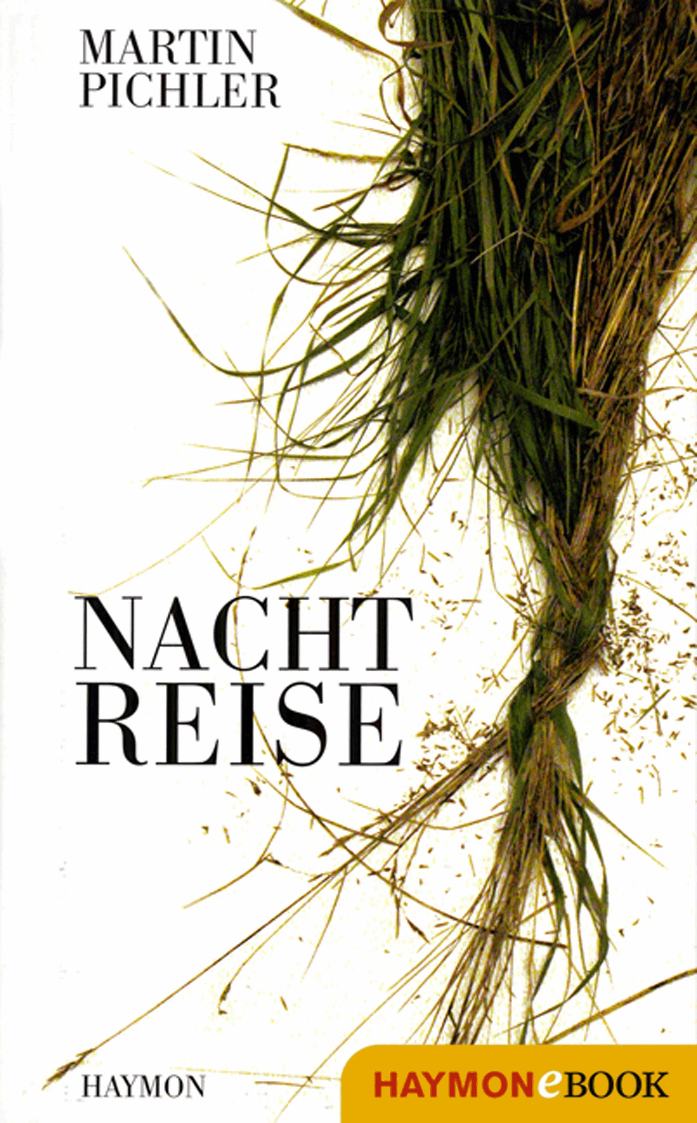 Nachtreise