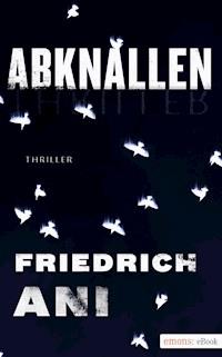 Abknallen - Ani Friedrich - ebook