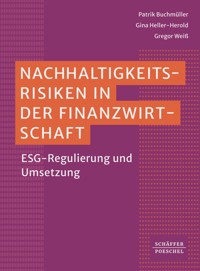 Nachhaltigkeitsrisiken in der Finanzwirtschaft - Patrik Buchmüller - ebook