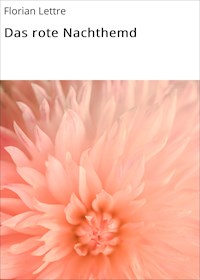 Das rote Nachthemd - Florian Lettre - ebook