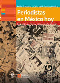 Periodistas en México hoy - Frida Viridiana Rodelo Amezcua - ebook