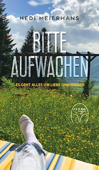 Bitte aufwachen - Hedi Meierhans - ebook