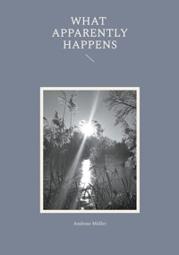 What apparently happens - Andreas Müller - ebook