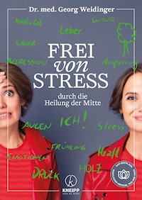 Frei von Stress durch die Heilung der Mitte - Weidinger Georg - ebook