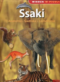 Wiedza w pigułce Ssaki - - książka