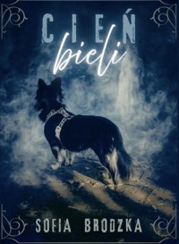 Cień bieli - Sofia Brodzka - ebook