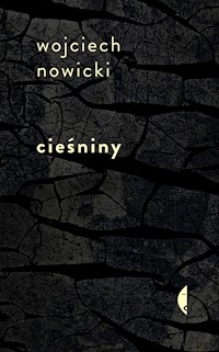 Cieśniny - Wojciech Nowicki - ebook + książka