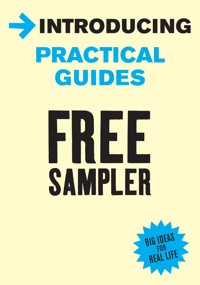 Introducing Practical Guides - Alison Price - ebook