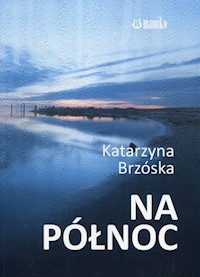 Na północ - Brzóska Katarzyna - książka
