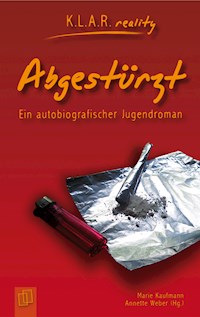 Abgestürzt - Marie Kaufmann - ebook