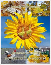 Rozsmakuj się w powiecie bydgoskim - Chudzyńska Izabela - książka