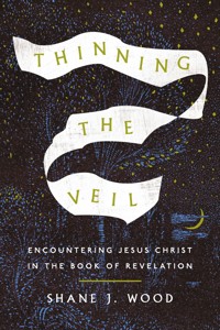 Thinning the Veil - Shane J. Wood - ebook