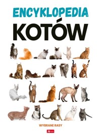 Encyklopedia kotów. Dobrze wiedzieć - zbiorowa praca - książka