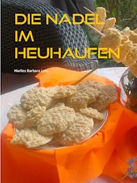 Die Nadel im Heuhaufen - Marlies Barbara Lenz - ebook