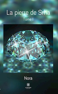 La pierre de Srha - Tome I - Nora - ebook